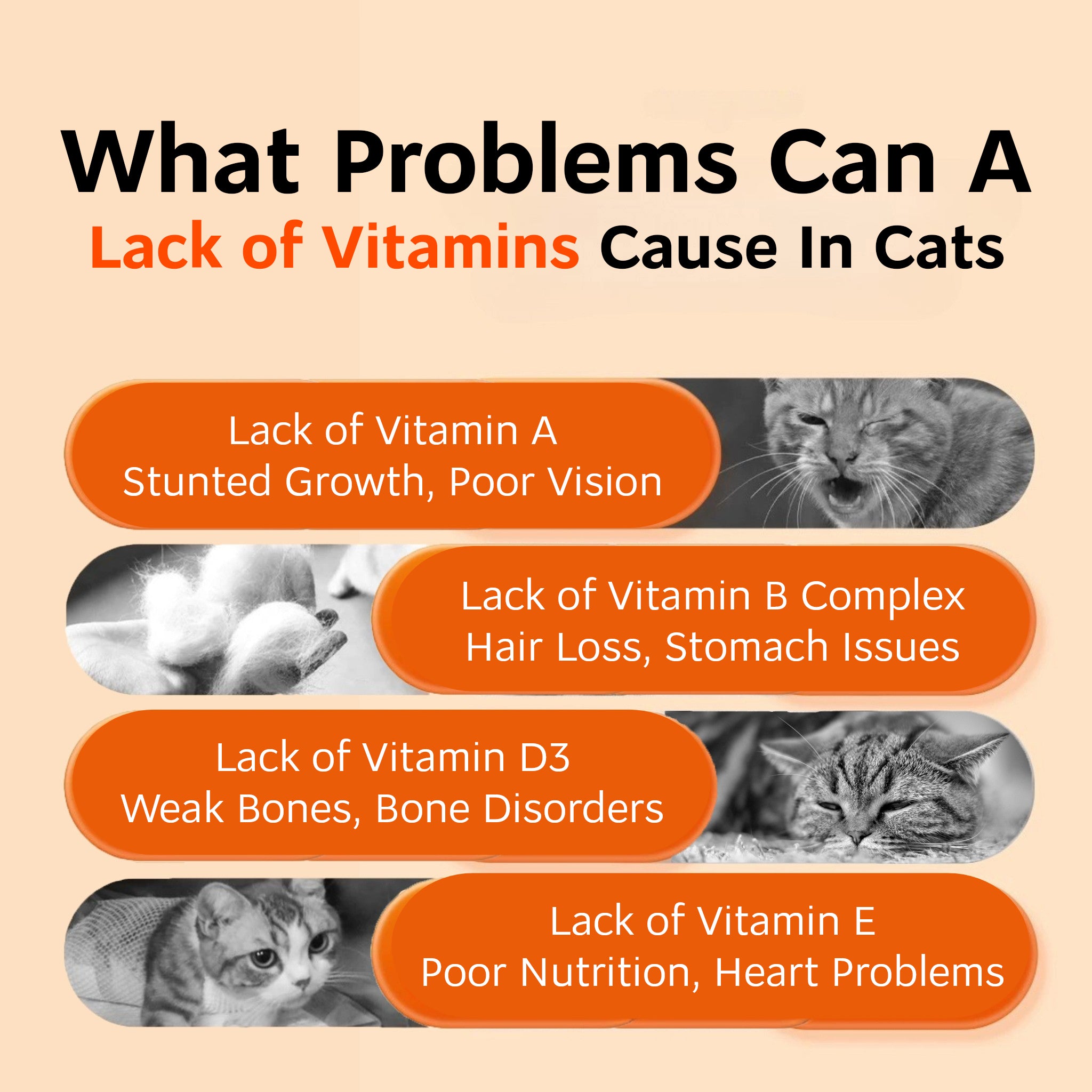 🛡️Multivitamins Immunity Boost Travel Pack