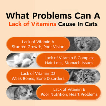 🛡️Multivitamins Immunity Boost Travel Pack