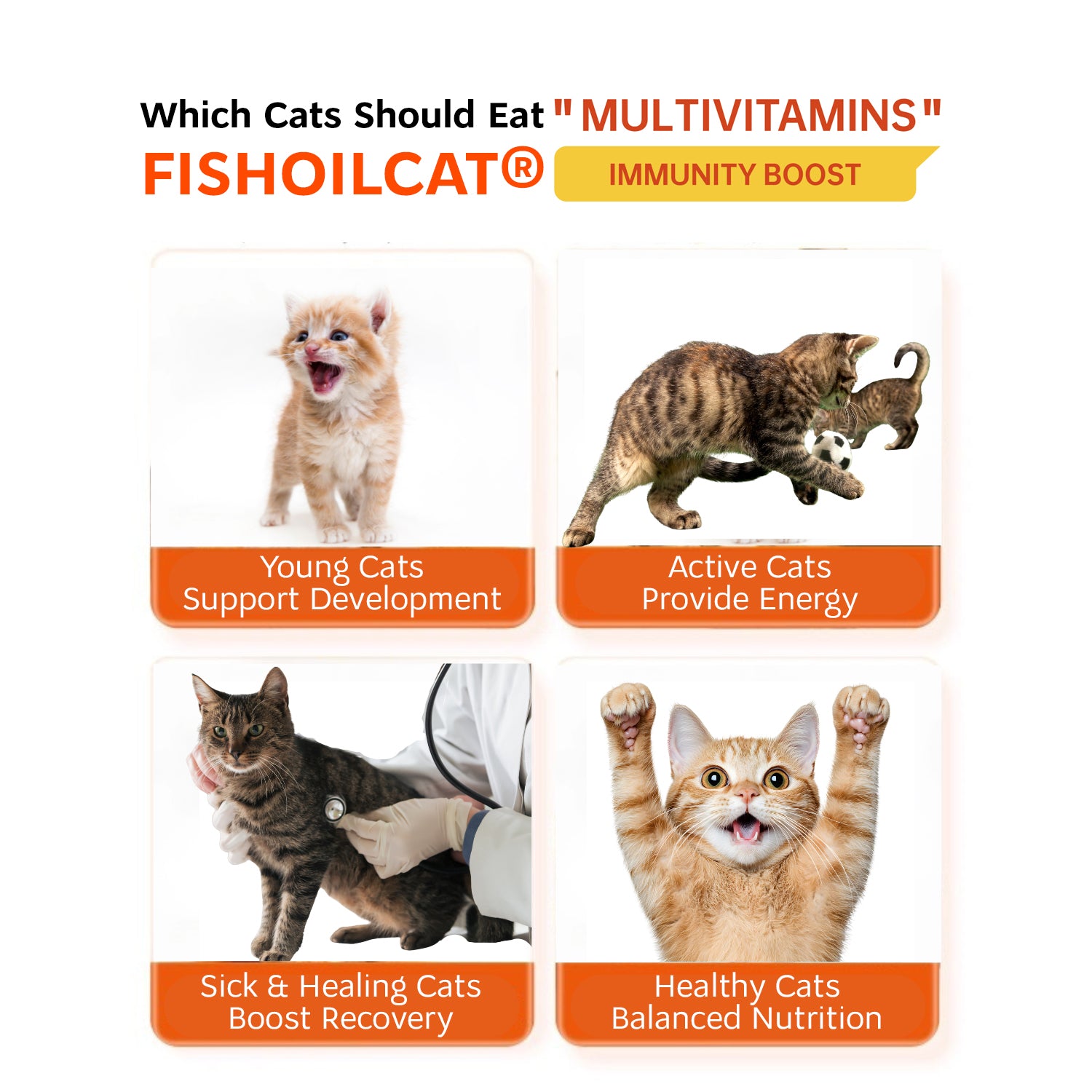 SF-II FISHOILCAT Cat Treat Travel Pack (10 pcs)