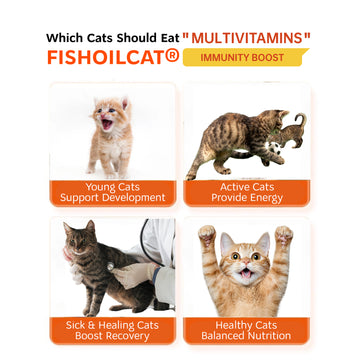 SF-II FISHOILCAT Cat Treat Travel Pack (10 pcs)